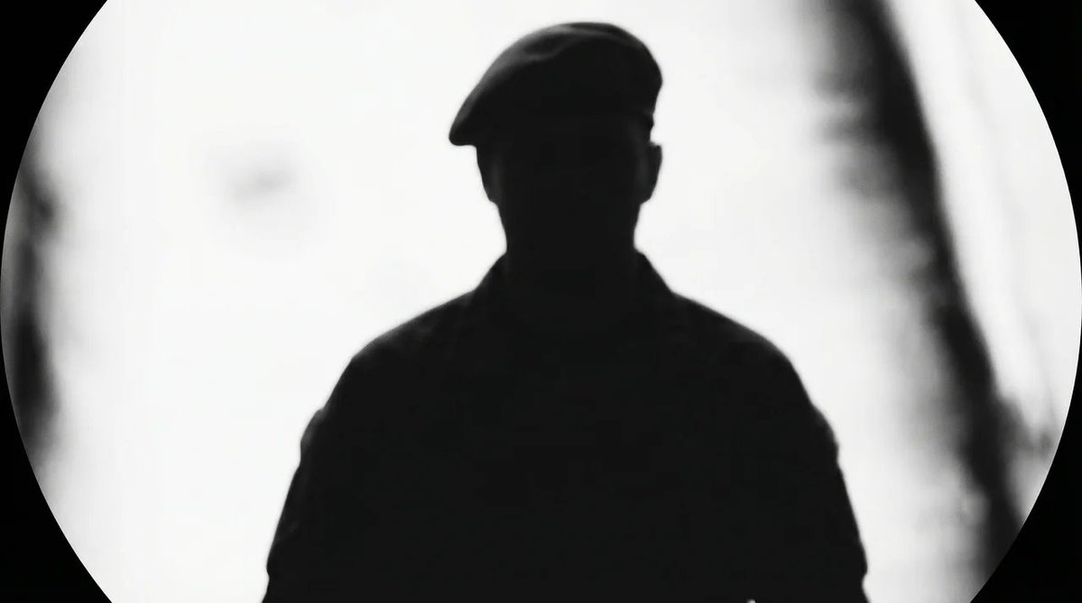 Username (Shark) tweet media