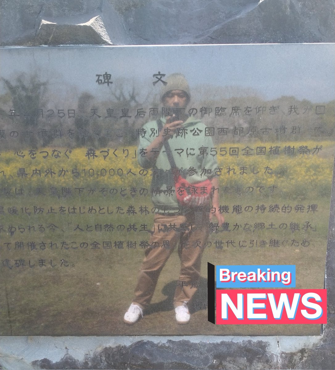 チップさん tweet media