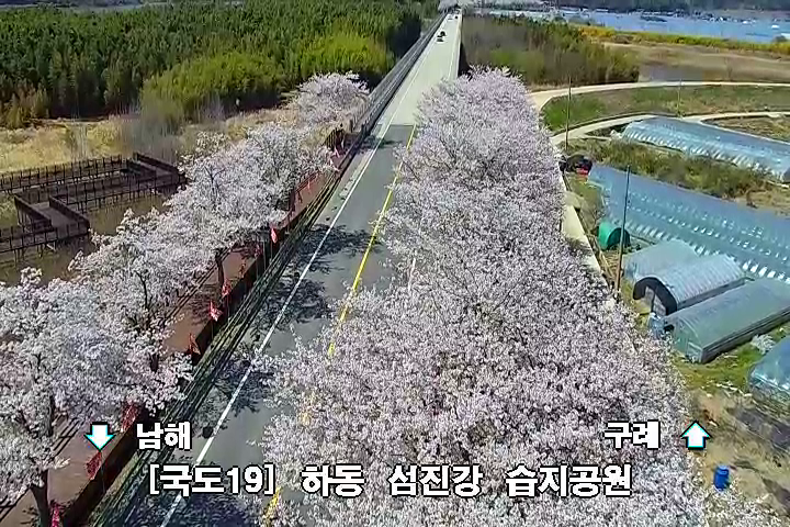 HappyTraffic's tweet photo. [경상권] 벚꽃명소  
국도19호선 하동 섬진강 습지공원
국도19호선 하동 신기교차로
봄철 졸음운전 주의. 졸리면 창문열고 환기 하세요. #traffic_kor https://t.co/Bfs1NT8L7u