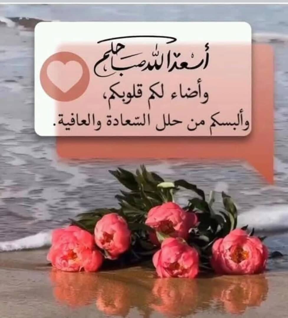 الذيب tweet media