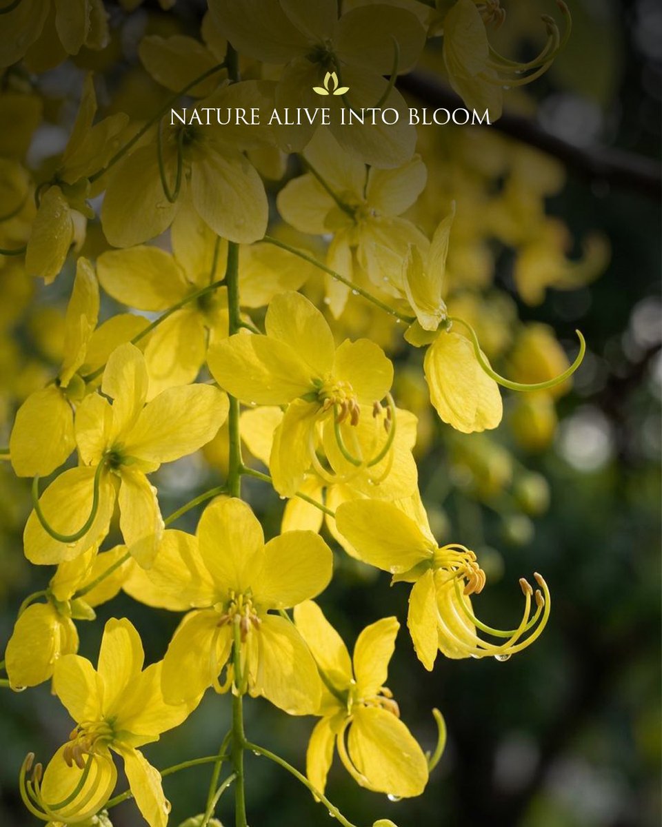 J Wellness Circle tweet media