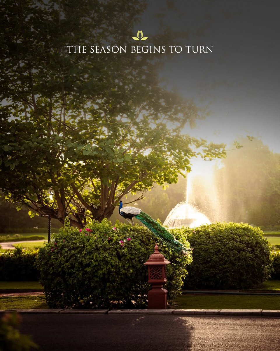 J Wellness Circle tweet media