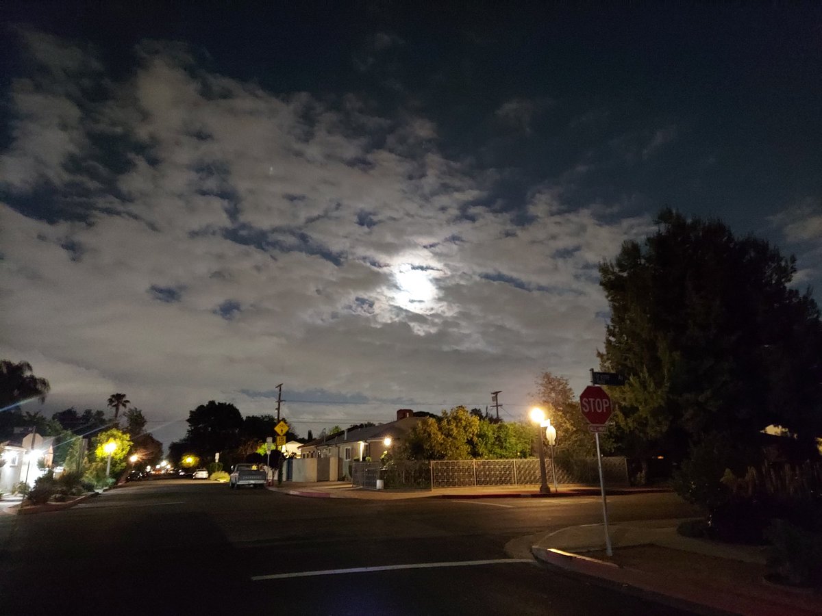 improvguy11's tweet image. Beautiful moon on tonight’s bike ride. 🌕☁️🚴‍♂️🩷 #bike #cardio #coolnight #fullmoon #grateful