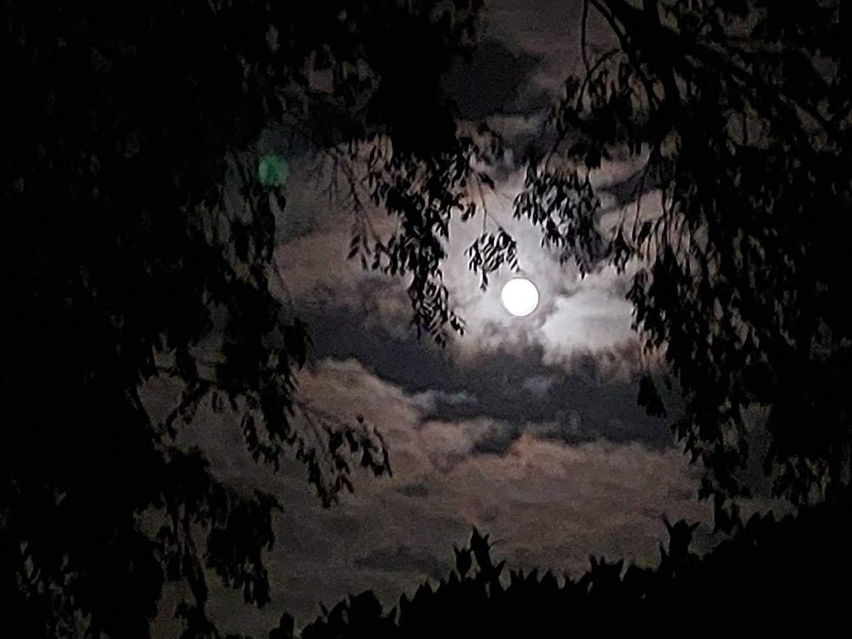 improvguy11's tweet image. Beautiful moon on tonight’s bike ride. 🌕☁️🚴‍♂️🩷 #bike #cardio #coolnight #fullmoon #grateful