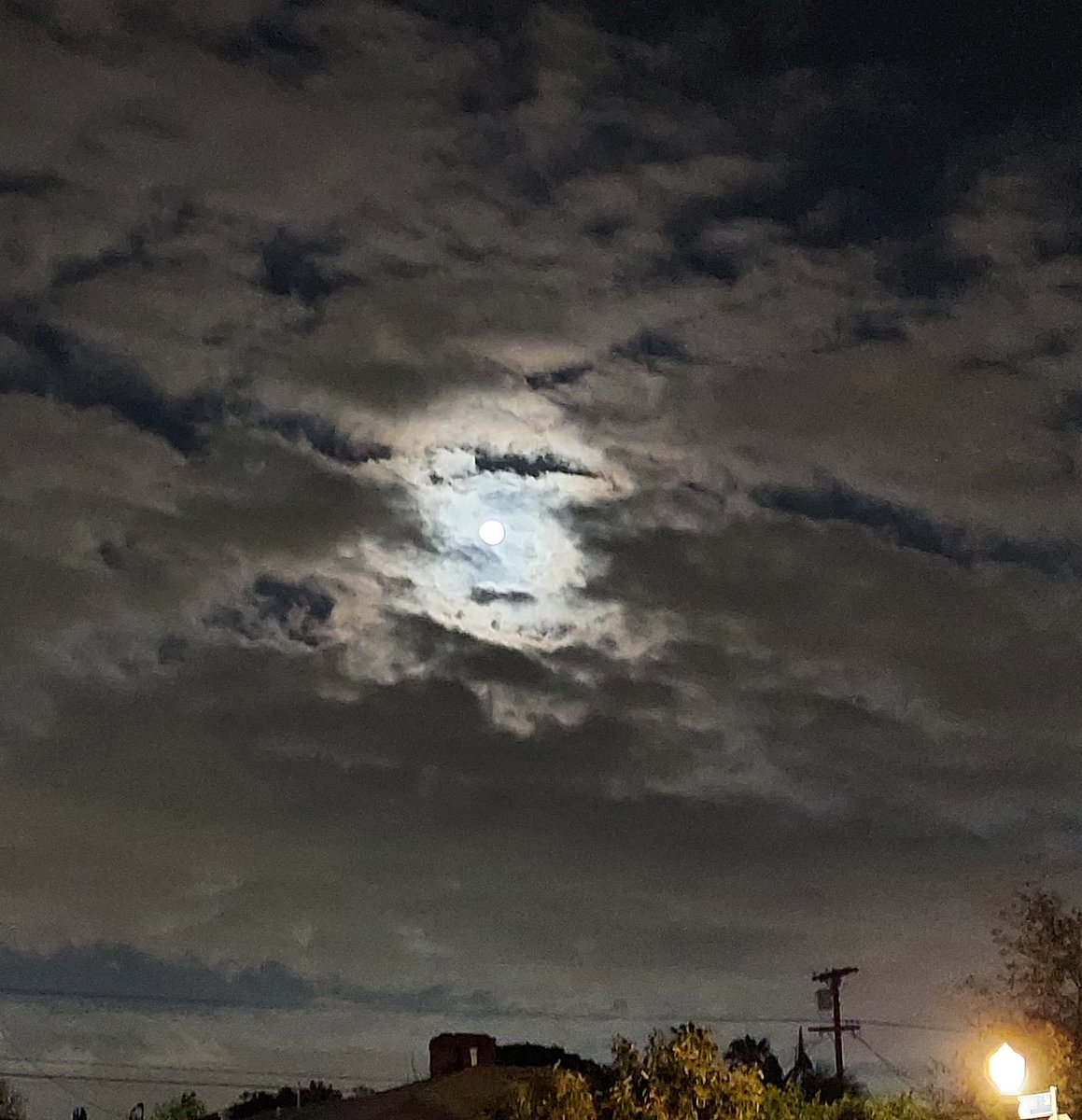 improvguy11's tweet image. Beautiful moon on tonight’s bike ride. 🌕☁️🚴‍♂️🩷 #bike #cardio #coolnight #fullmoon #grateful