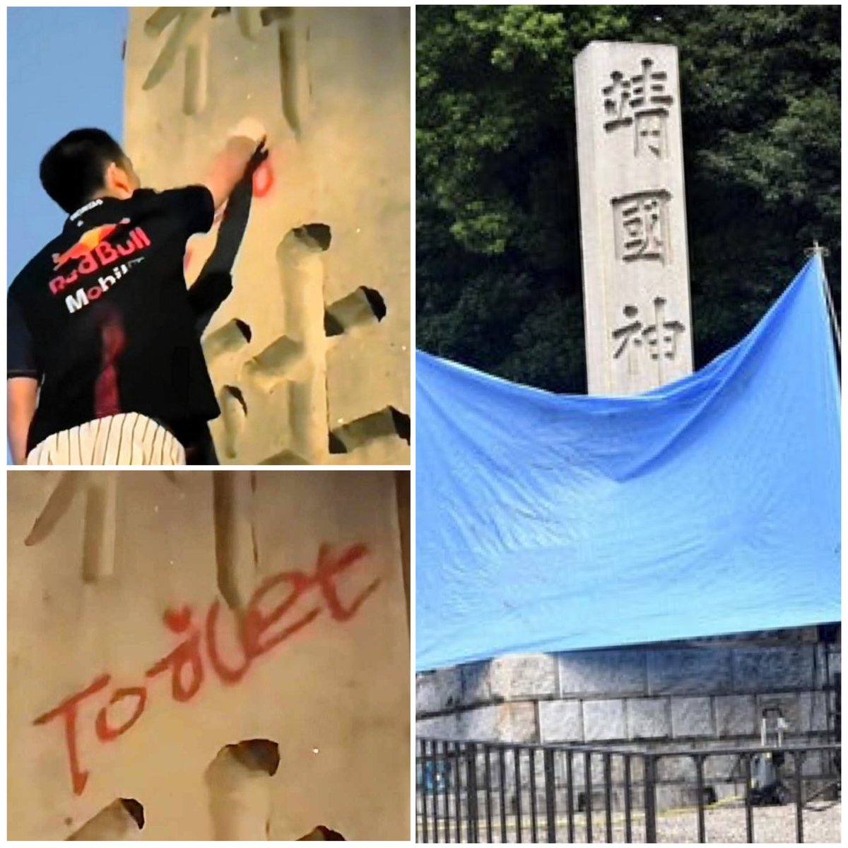 ちゃんほた🌸 tweet media