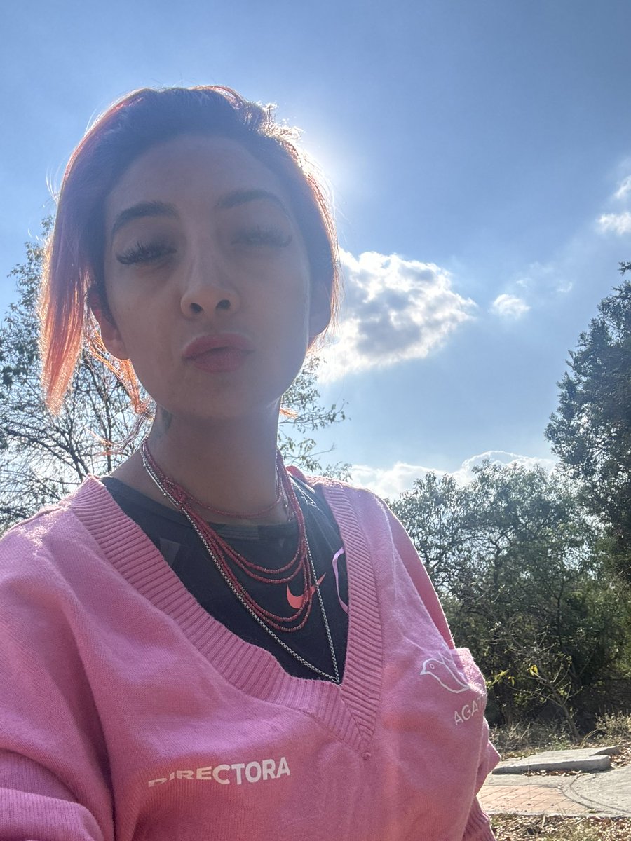 Ana J Villagrán tweet media