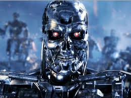 世界縦断ネコ歩き tweet media