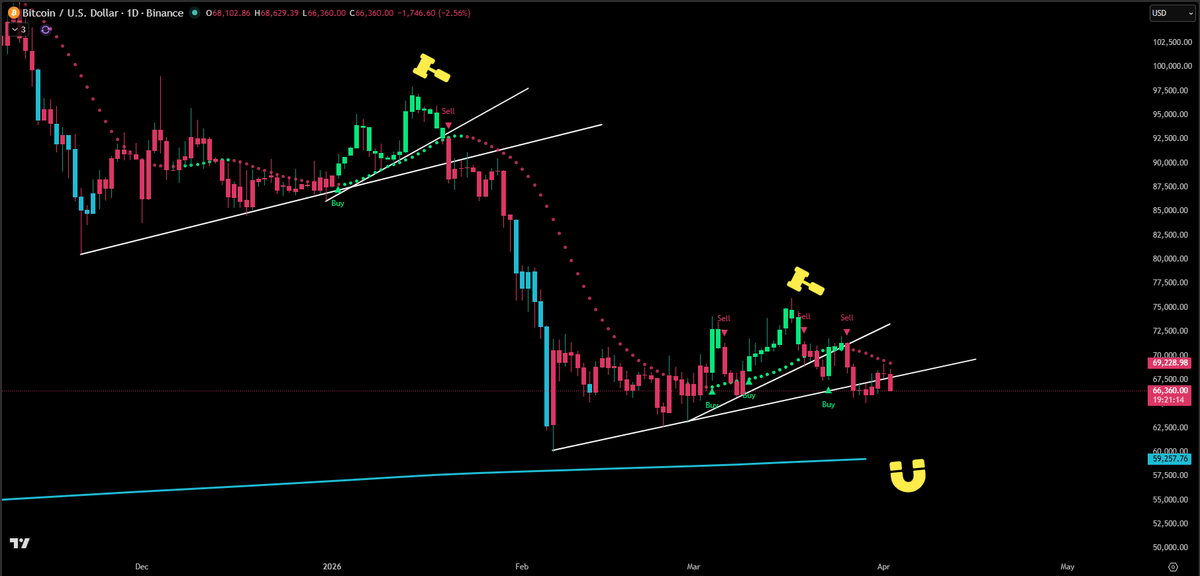 Jesse Olson tweet media
