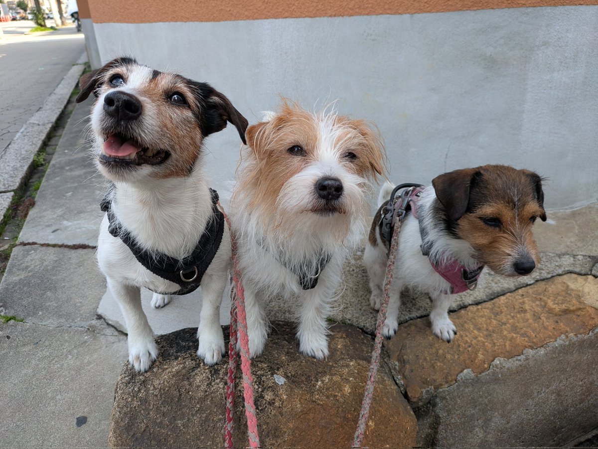 複雑奇怪な浪速っ子 tweet media