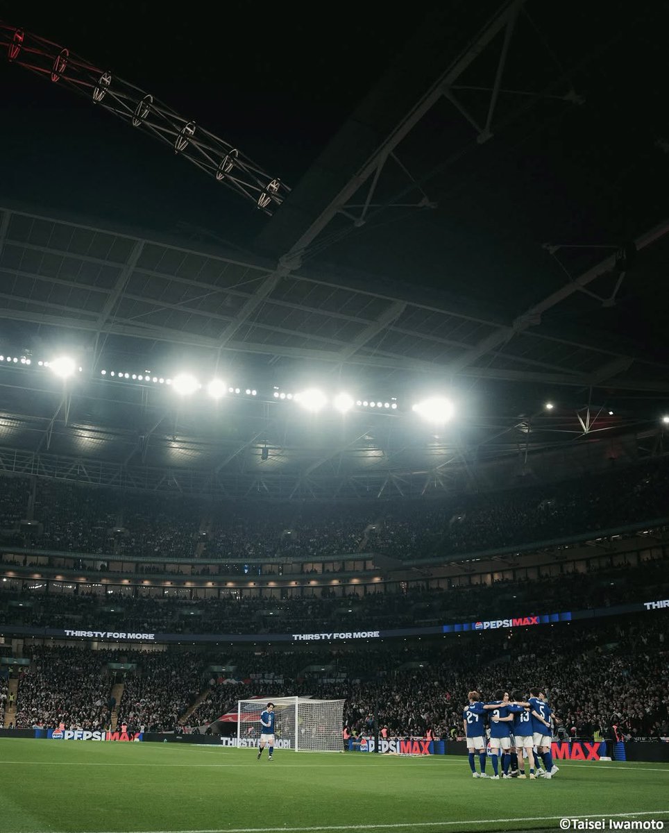 ぽぬこ tweet media