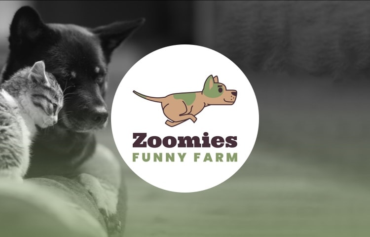 marillion13's tweet photo. Free action # 2 of 6 is for Zoomies Funny Farm on @yummypets, the new campaign´s been started yesterday. 
💖💖💖
https://t.co/opVvnMiSUV https://t.co/zYKUzZhm5t