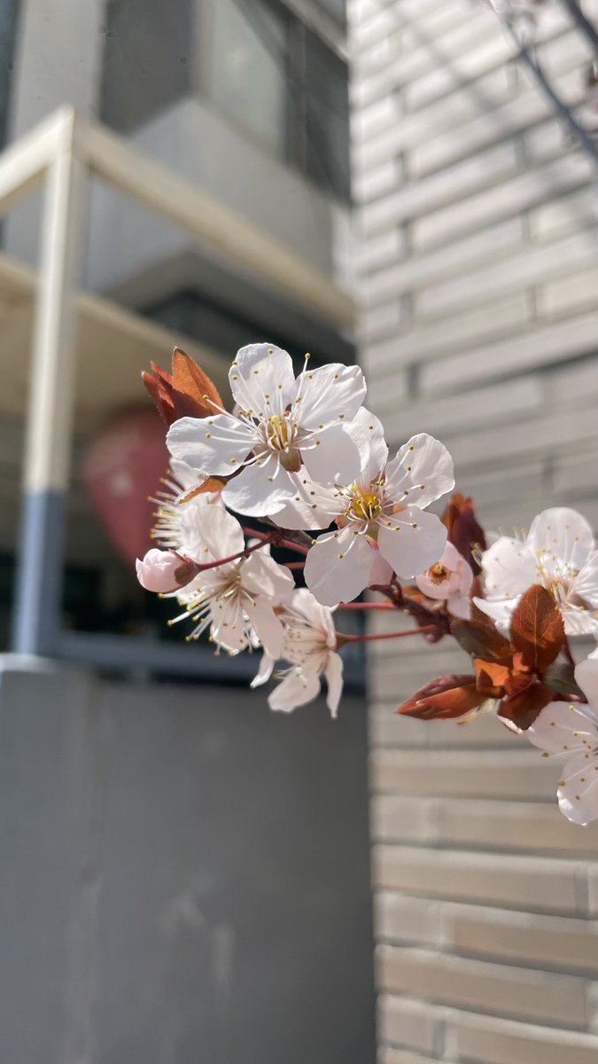 🎗깊이에의 강요🕯 tweet media