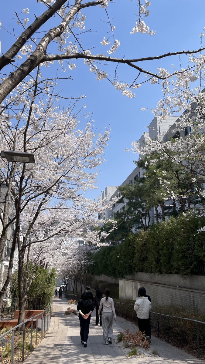 🎗깊이에의 강요🕯 tweet media