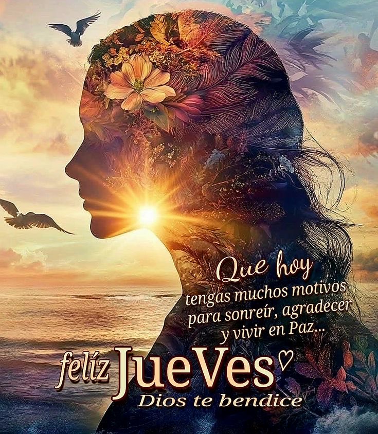 Cecilia  Freire tweet media