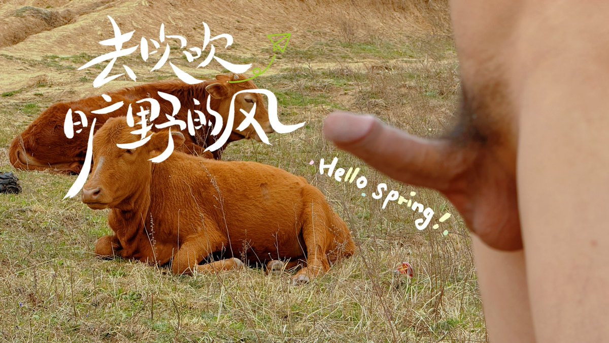 安森 tweet media