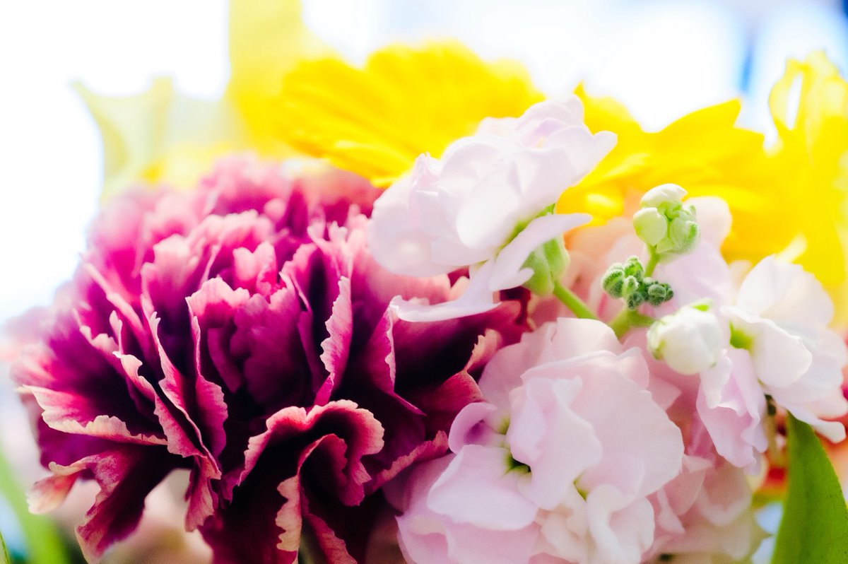 区役所…
午後からだと人多すぎて…
😭