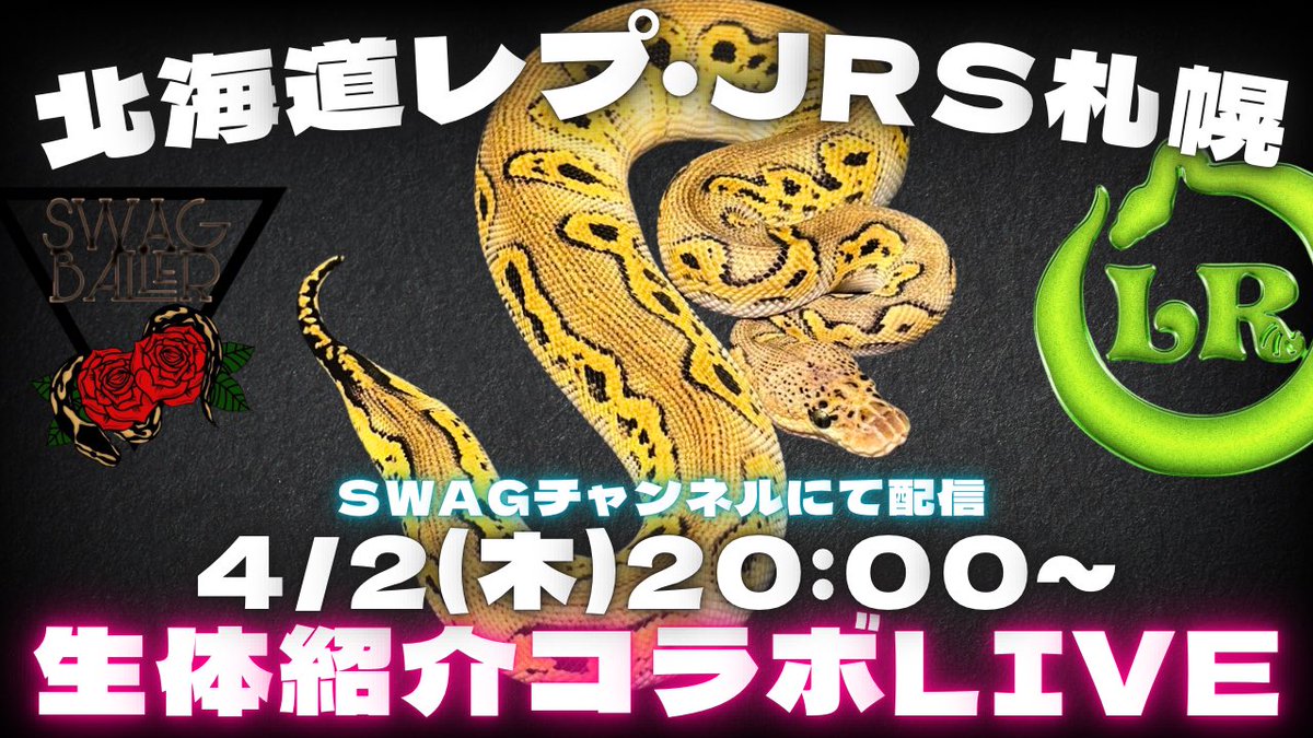 SWAG Baller tweet media