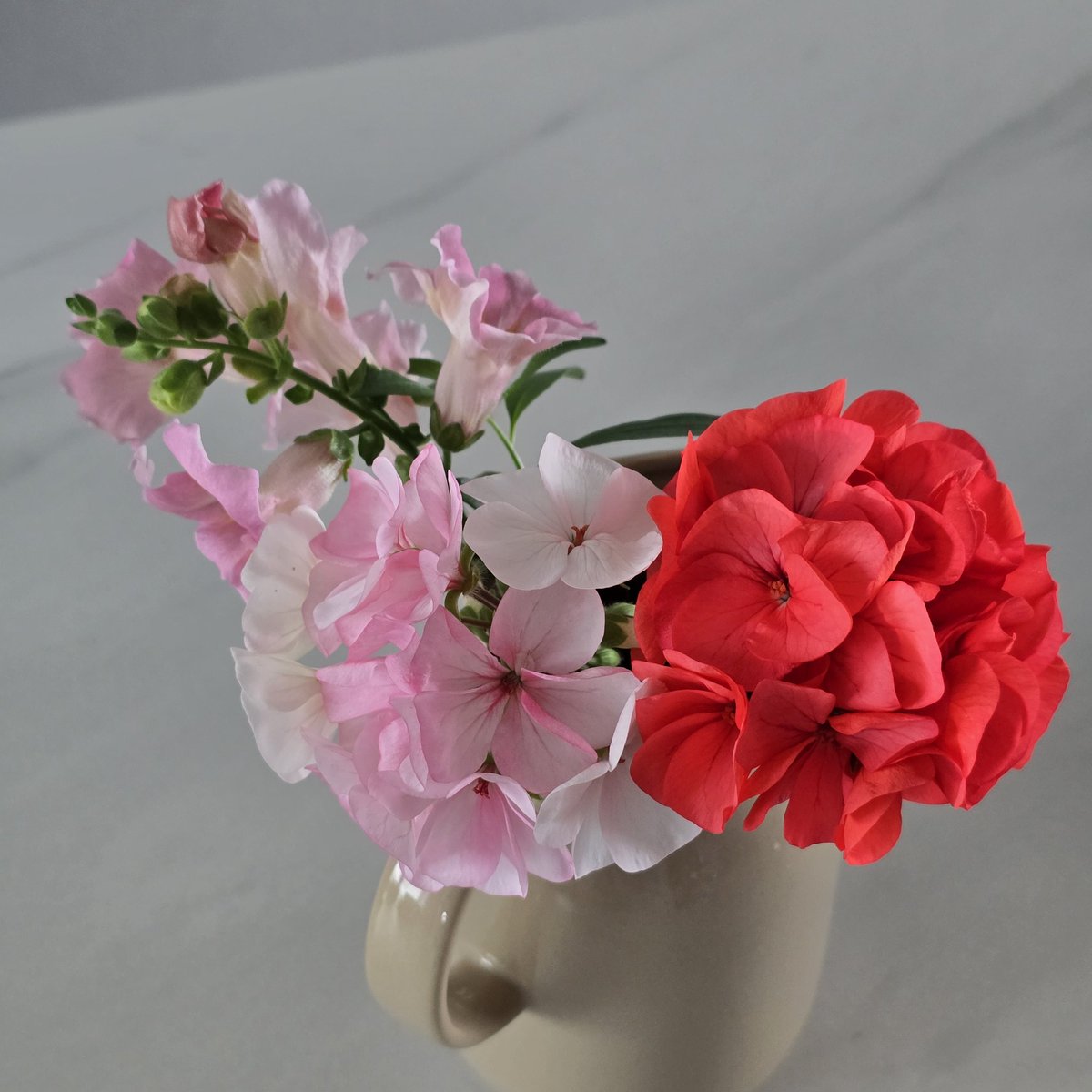 종오리🍩 tweet media