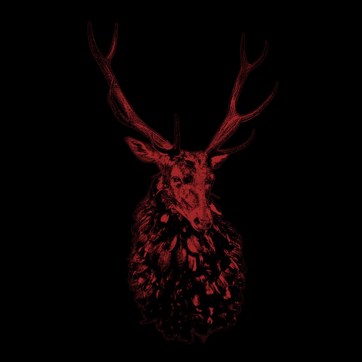 ⋄ 𝕴𝐈𝐊𝐄 𝕬𝐍𝐈𝐌𝐀𝐋𝐒 tweet media