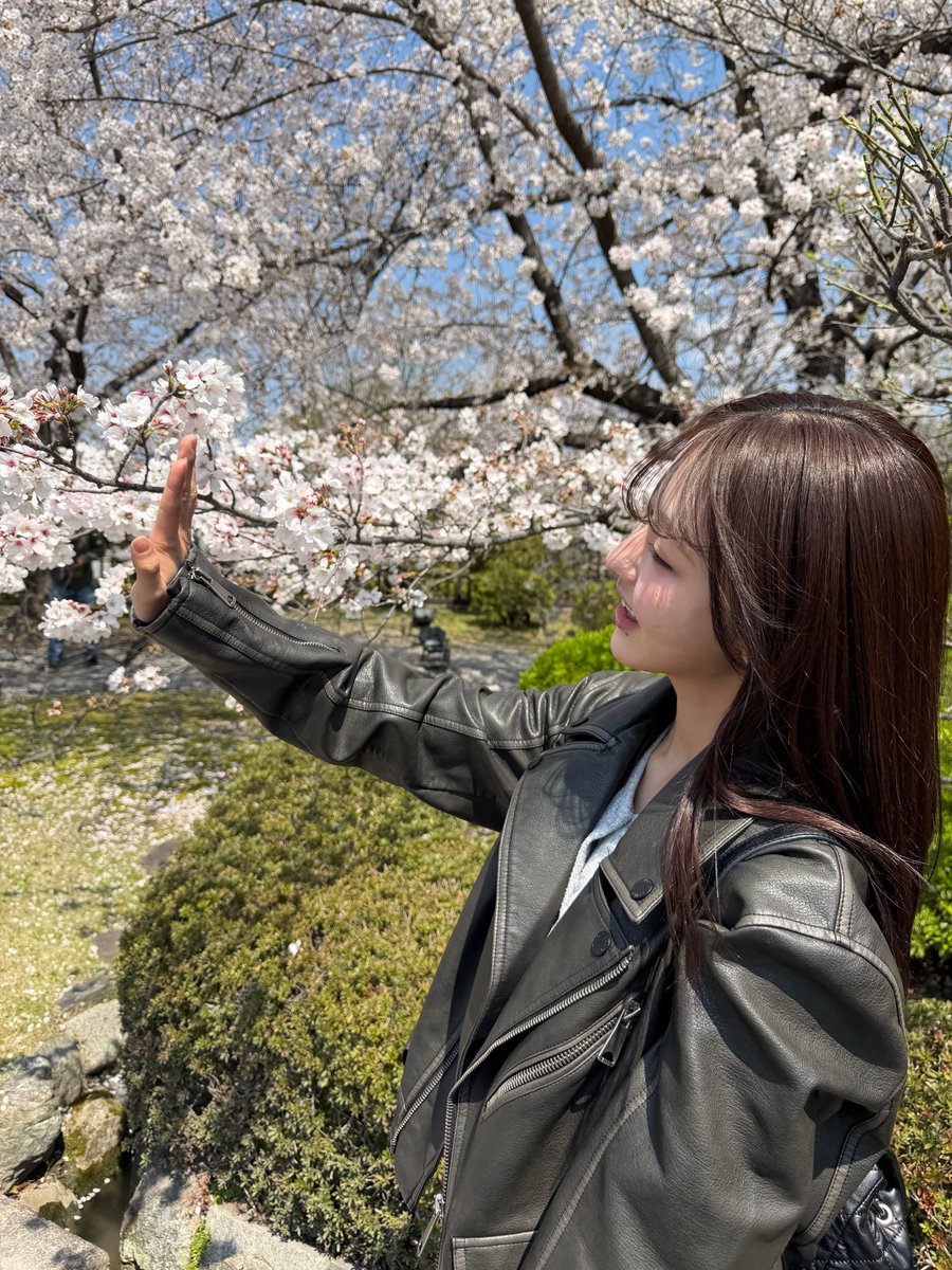 nonnon_rinon's tweet photo. 幸せ〜🌸
写真撮ってたら桜と風にアタックされちゃった https://t.co/7IJnyoUeAR