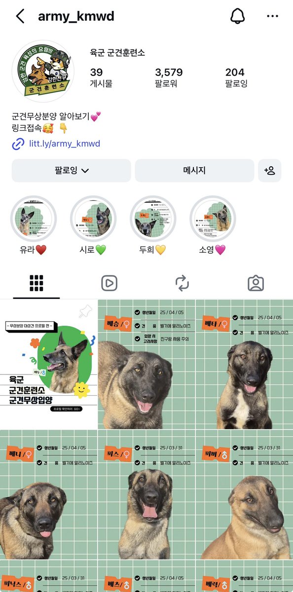 아리올 tweet media