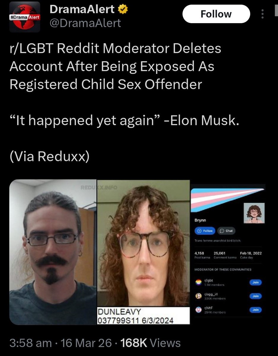 Real Schlep tweet media