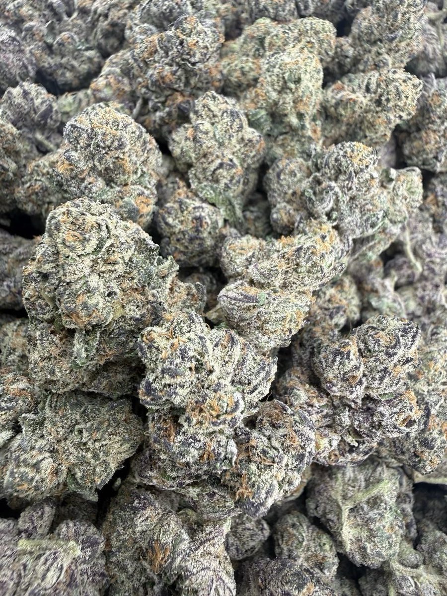 ExoticZaUS's tweet image. Tropical fruit aroma with a euphoric lift that keeps you smiling and social. Perfect for hangouts. #FeelGood #TropicalVibes #SativaLife