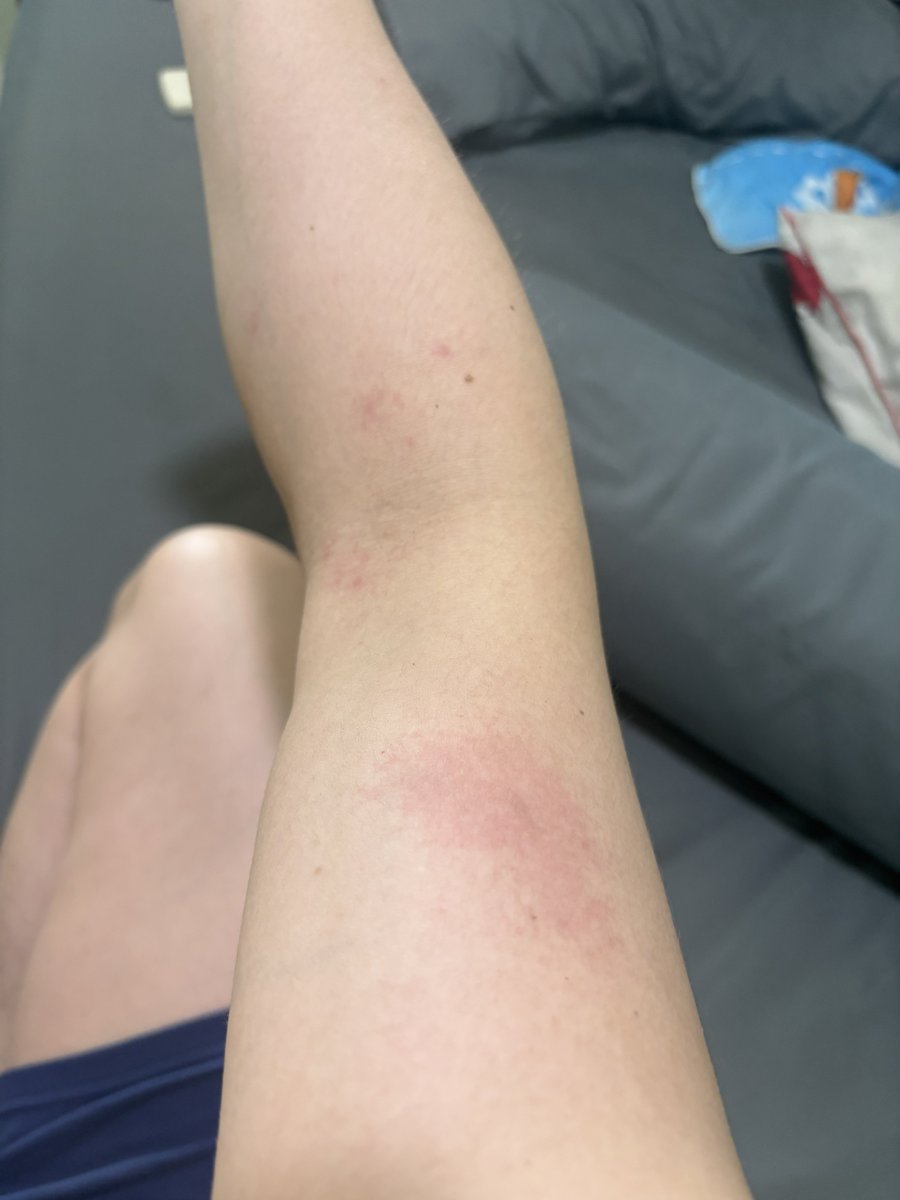 ฮ่องเต้ที่เป็นหมอนวดอะ tweet media