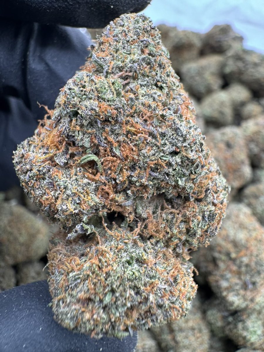 ExoticZaUS's tweet image. Smooth, earthy flavor with a calming body high that melts stress away perfect for winding down after a long day. #CannabisCommunity #Relaxation #Indica