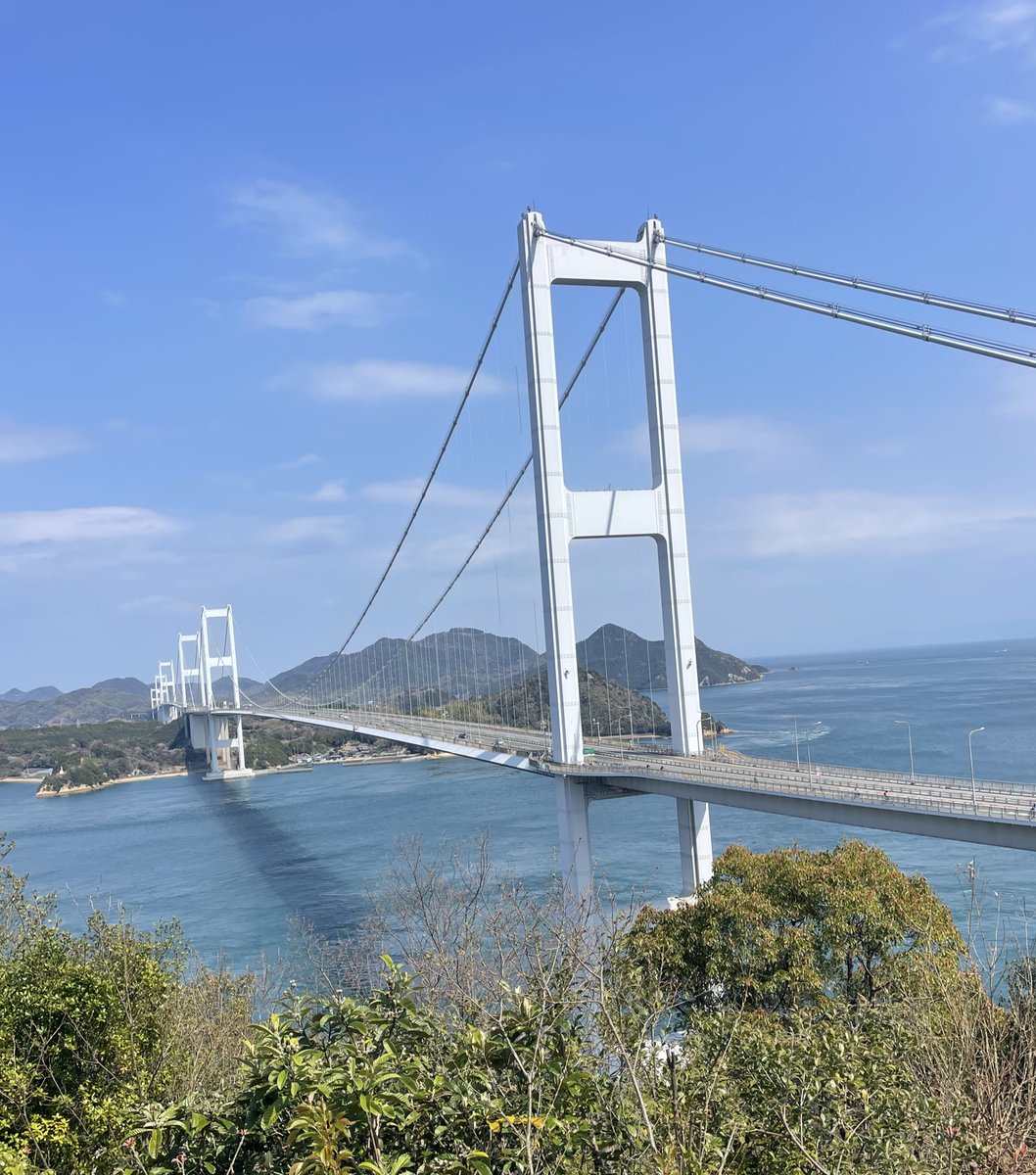 毒舌ゆーりそ🐰 tweet media