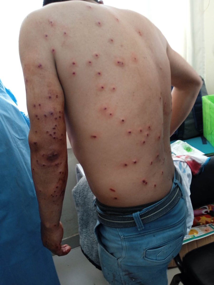 El DARDO - Noticias tweet media