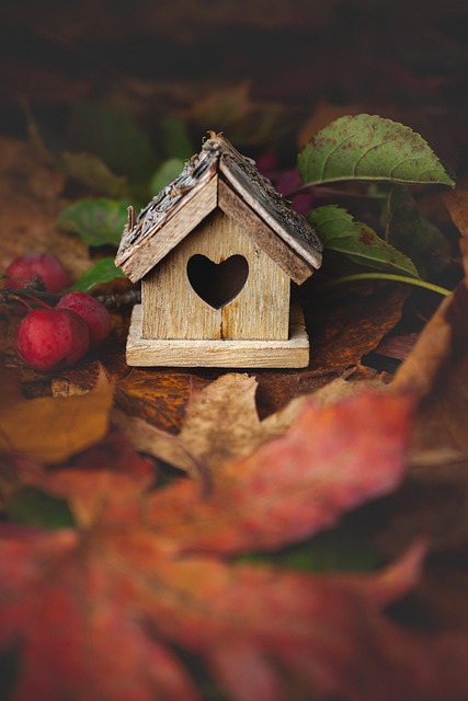 David Ingram tweet media