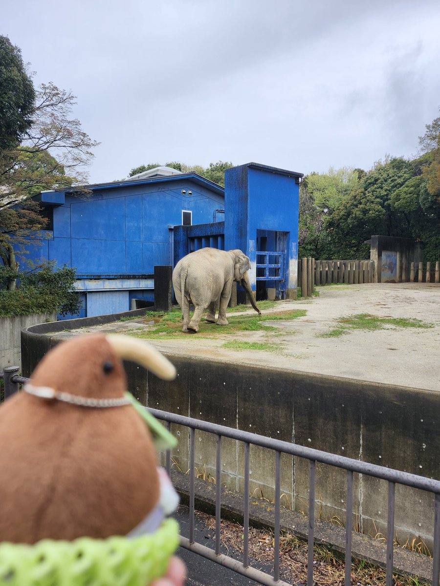 しらす tweet media