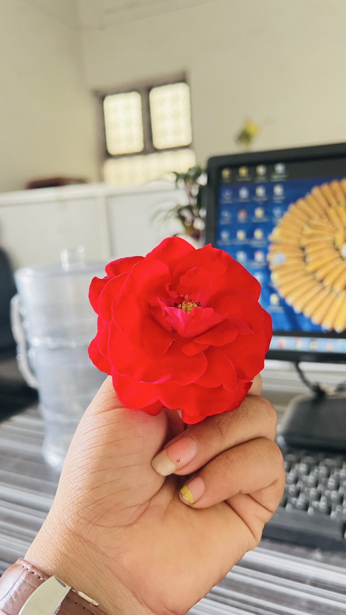 जय श्री राम 🙏♥️♥️🙏🙏जय श्री सीता मैया🙏🙏♥️♥️🙏🙏 जय श्री हनुमान जी 🙏🙏♥️♥️🙏🙏🙌📿🌸🙏