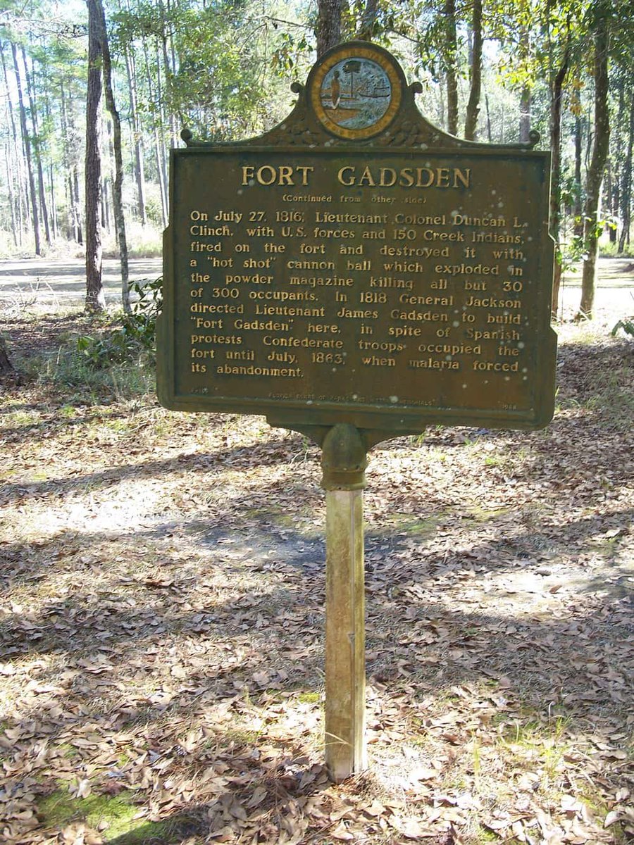 𓂀 𝕋𝔼𝔸ℍ 𓂀 tweet media