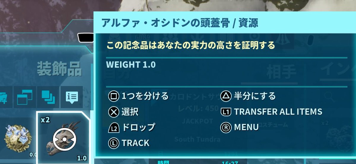 ✞Reiちゃん✟💛🐾 tweet media