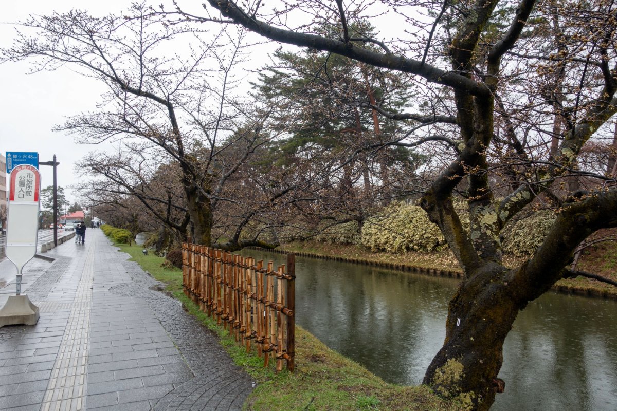 弘前公園 tweet media