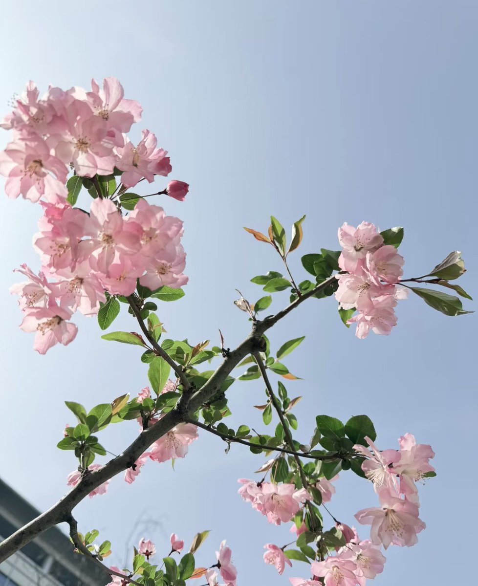 TINKI（互fo） tweet media