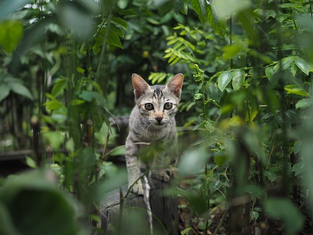 EricColema30459's tweet image. 오늘 문득 고마웠어 Faris cảm ơn vì những khoảnh 🫰 khắc tốt đẹp شكراً لمساندتك الصادقة 🤜

#DigitalCreativity