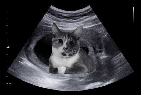 key ⋆｡°✩ tweet media