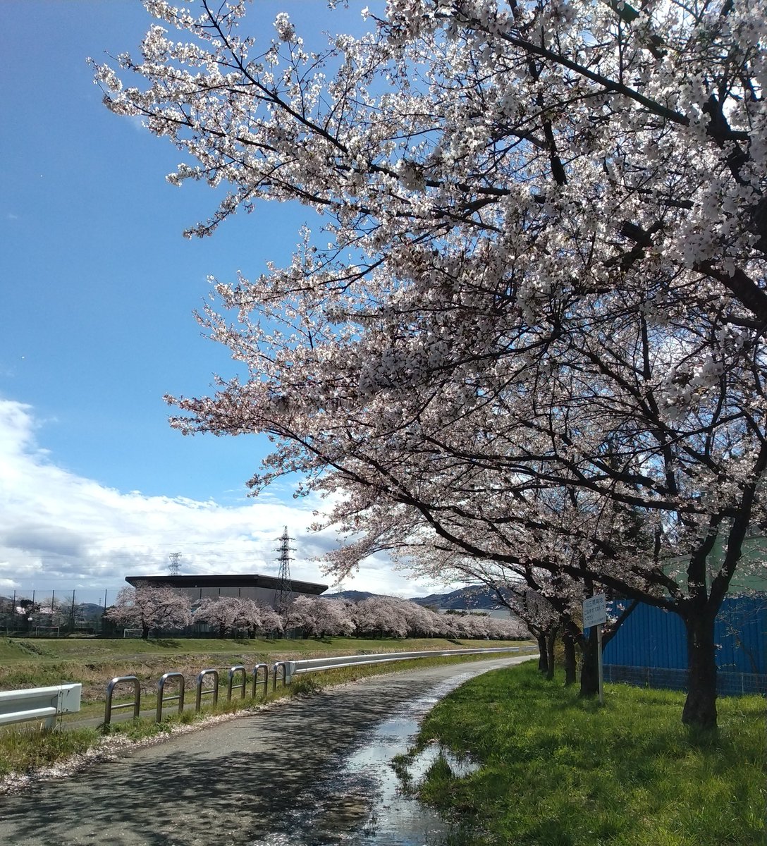 colonel_3dz（かーねる３だーす） tweet media