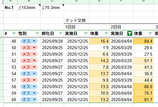 へら備忘 tweet media