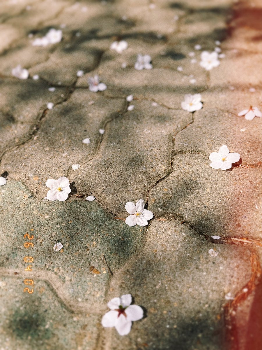 우연운명 tweet media