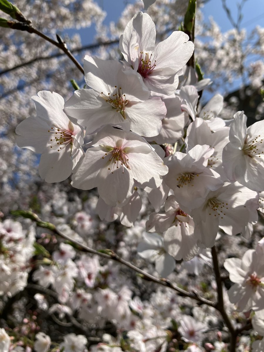 コナカ tweet media