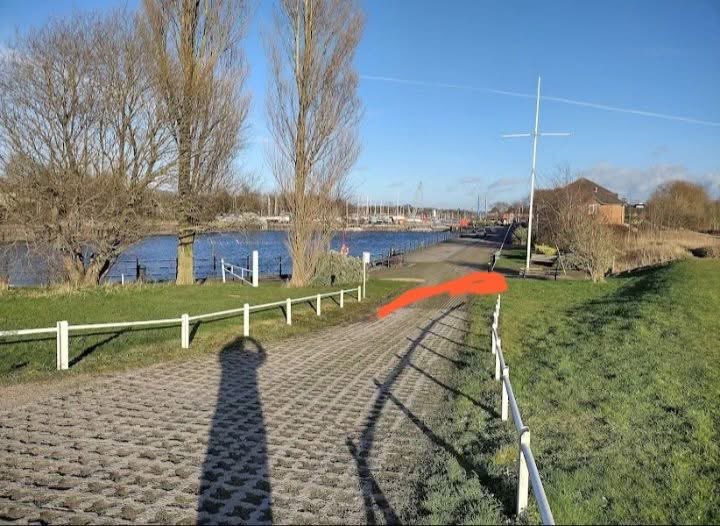 DaisyJuke tweet media