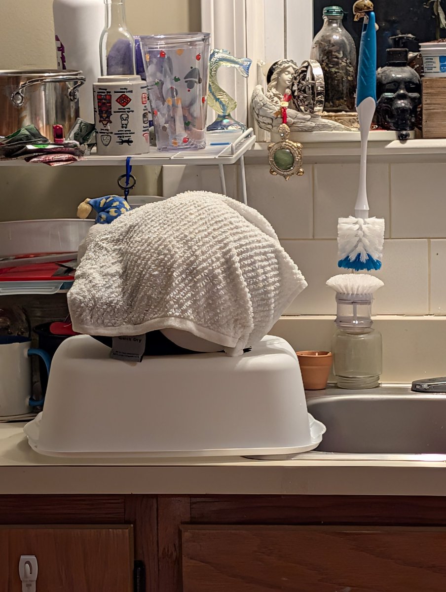 Lucille Palmer ✌ Flips¿de DEMO!!! tweet media