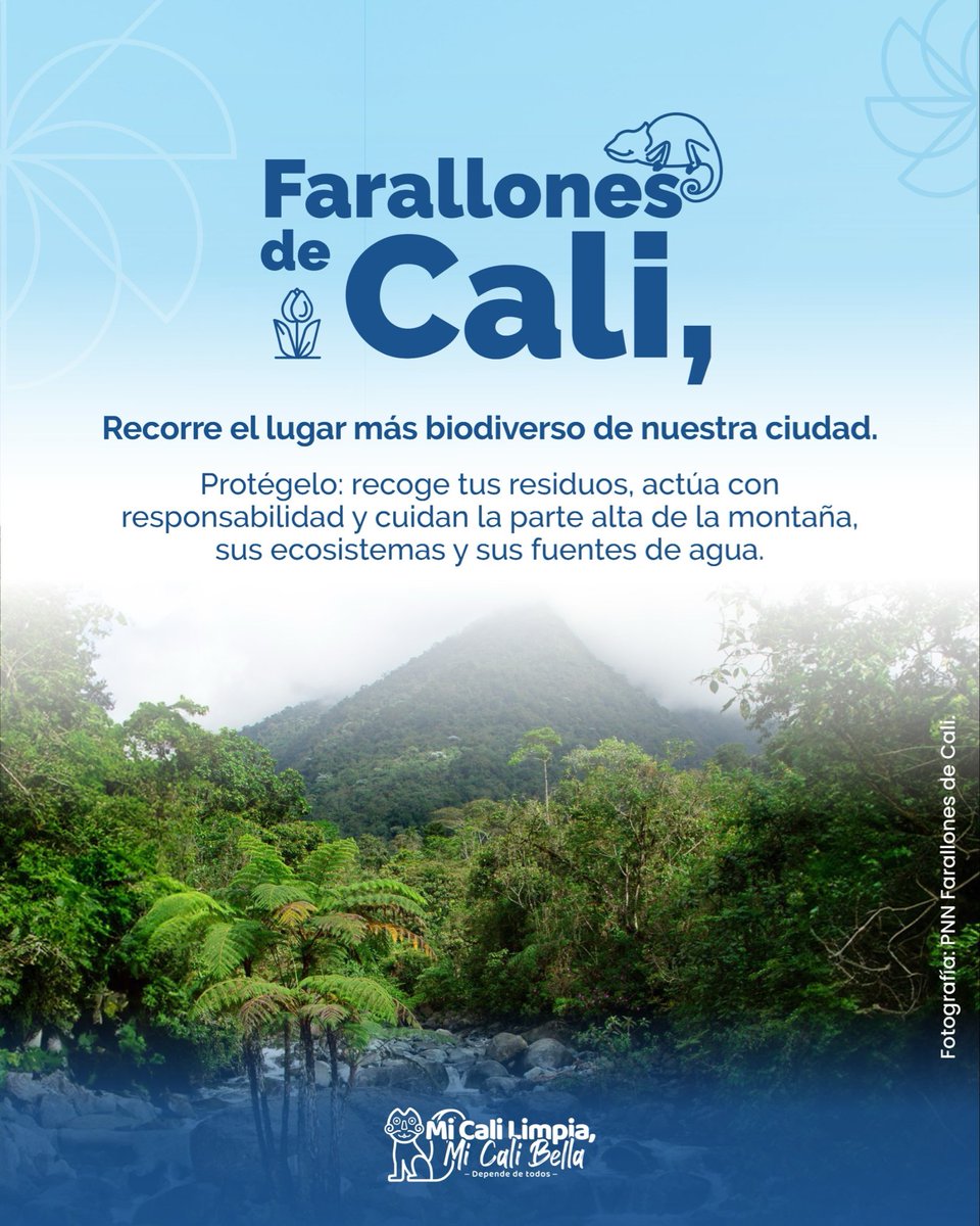 Uaesp Cali tweet media