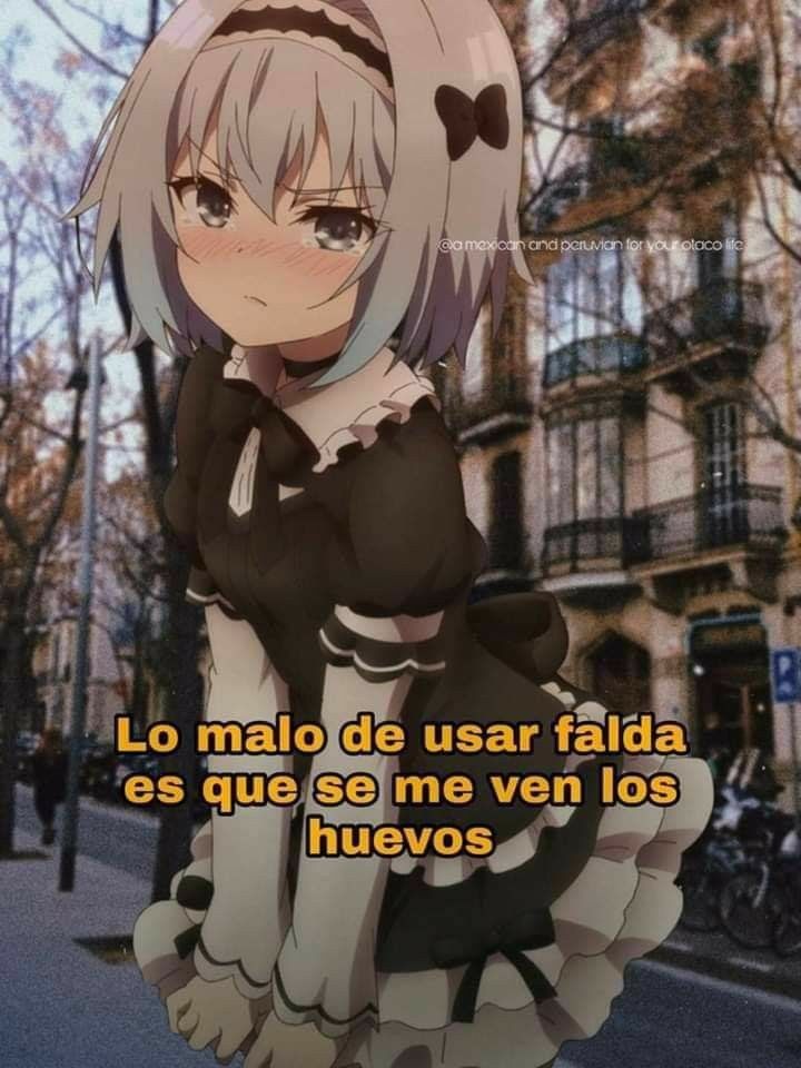 CABRITA 🐐🏳️‍⚧️ tweet media