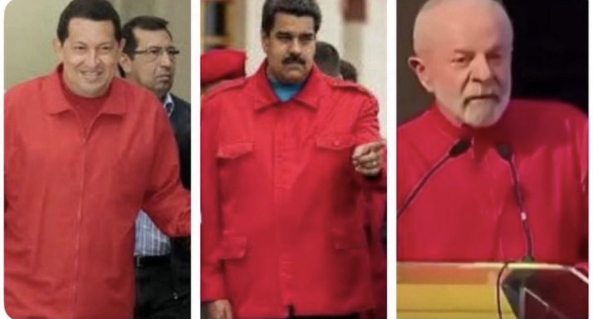 Lia Lima tweet media